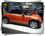 Mini Cabrio, Salon, Genewa