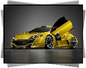 Renault Megane Trophy, Unoszone, Drzwi