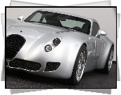 Wiesmann GT MF5, Reflektor