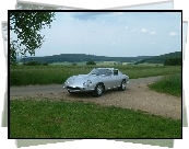 Ferrari 275, Boczne, Drogi