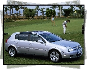 Opel Signum, Golf, Trawa