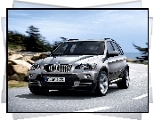 Bmw X5, E70