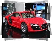 Dealer, Audi R8, Hostessa