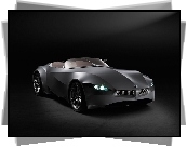 BMW Gina Light Visionary Concept, 2008