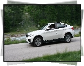 BMW X6, Kierowca