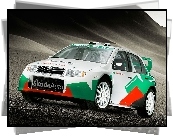 Skoda Fabia WRC