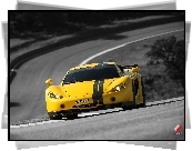 Ascari A10