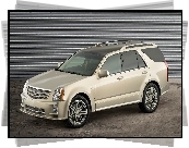 Cadillac SRX, SUV