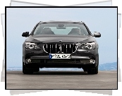 Przód, BMW seria 7 F01, Atrapa, Grill