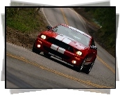 Shelby, Ford Mustang