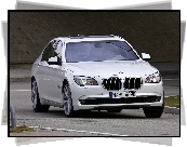 Biała, BMW F01, Tor, Zakręt