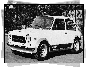 Autobianchi A112, Tuning, Abarth