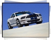 Pakiet, Shelby, Ford Mustang, GT500