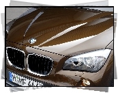 BMW X1, Maska, Reflektor