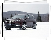 Acura MDX, Śnieg, Ontario, 4x4