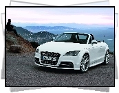 Audi TT, Roadster