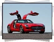 Mercedes Benz SLS, Skrzydła, Drzwi