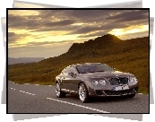 Bentley Continental GT, Maska