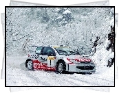 Rajdowy, Peugeot 206