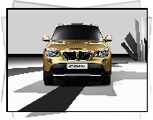 BMW X1, Atrapa