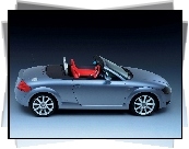 Audi TT, Roadster