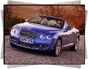 Bentley Continental GTC, Właścicielka