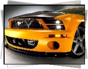 Ford Mustang, Grill, Ksenony