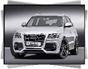 Przód, Audi Q5, Halogeny