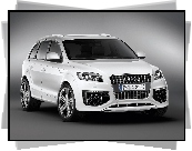 Audi Q7, Niemcy, Pakiet, SUV