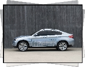 BMW X6, Dynamics, Efficient