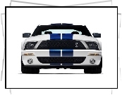 Shelby, Ford Mustang