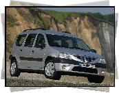 Dacia Logan, Relingi, Dachowe