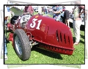 Alfa Romeo,tył samochodu , kierownica , koło