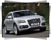 Przód, Audi Q5, Duży, Grill