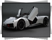 Marussia B1, Unoszone, Drzwi