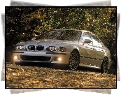 BMW Seria M, BMW 5, E39