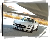 Mercedes-Benz SLS Roadster AMG