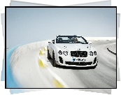 Bentley Continental Supersports, Grafika