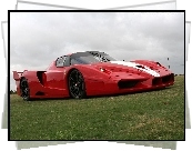 Ferrari FXX, Reflektory, Trawa