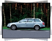 Audi A4, Avant, Lewy Profil, Drzewa