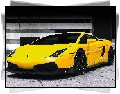 Żółty, Metalik, Lamborghini Gallardo