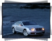 Bentley Continental GT, Kierunkowskazy