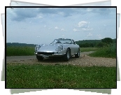 Ferrari 275, Polna, Droga