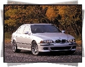 BMW, M5, E39