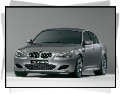 BMW Seria M, BMW 5, E60