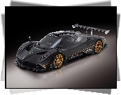 Pagani Zonda R, Wloty, Powietrza