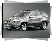 Bmw X5, E53