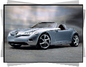 Prototyp, Roadster, Mercedes