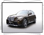 BMW X1, Eibach