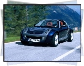 Czarny Metalik, Smart Roadster